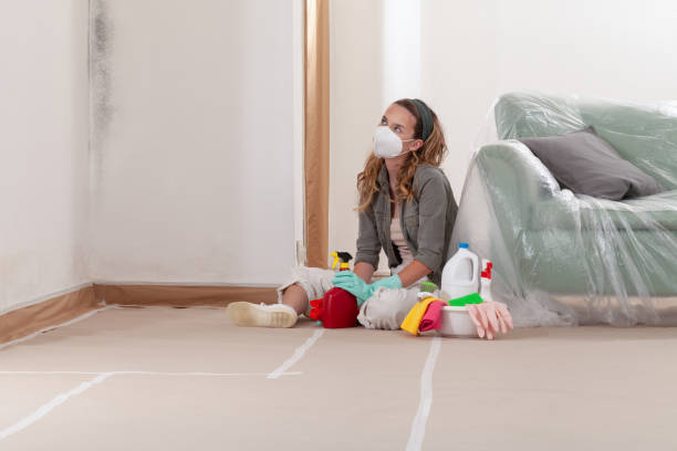 Reliable Mold Testing contractor in Butler, NJ by WQB Mold Removal