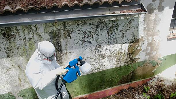 Top rated local Mold Testing specialists in Butler, NJ